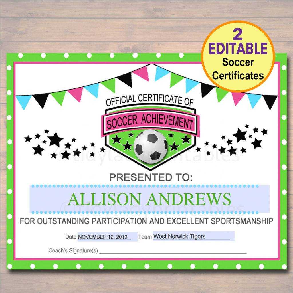 13+ Soccer Award Certificate Examples – Pdf, Psd, Ai Pertaining To Soccer Certificate Templates For Word