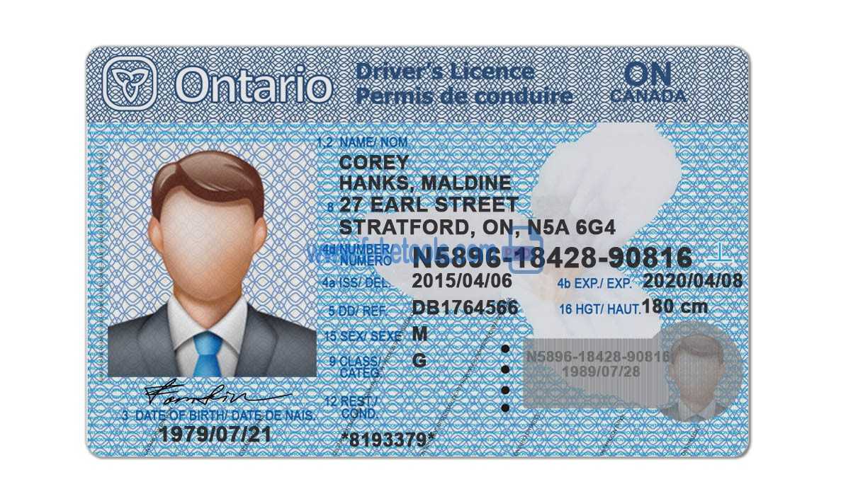 169Bbe Ontario Drivers License Template | Wiring Library Pertaining To Blank Drivers License Template