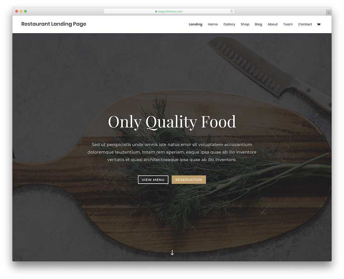 30 Best Food Website Templates That Satisfy All Food Lovers Within Blank Food Web Template