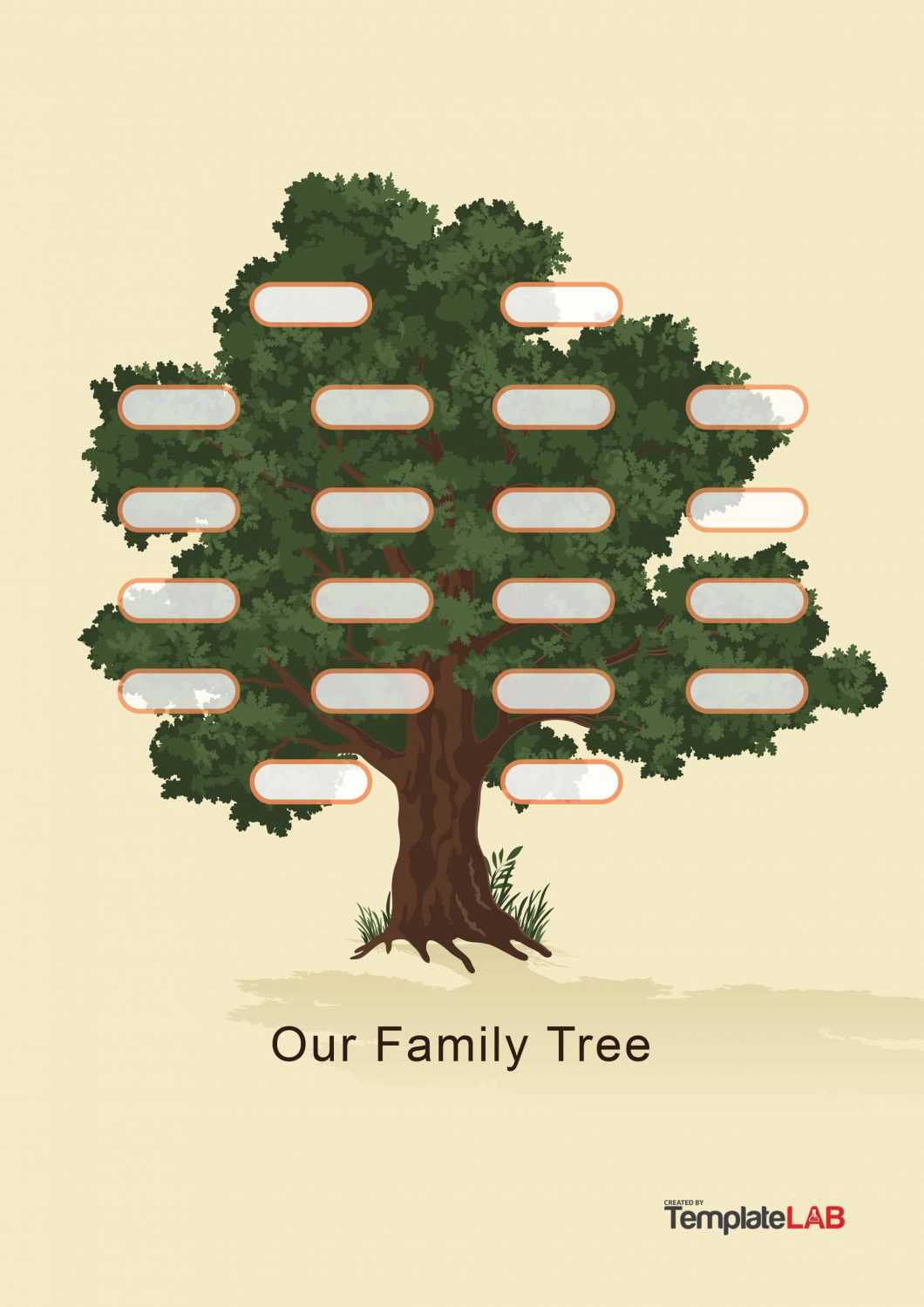 41+ Free Family Tree Templates (Word, Excel, Pdf) ᐅ Templatelab Throughout 3 Generation Family Tree Template Word
