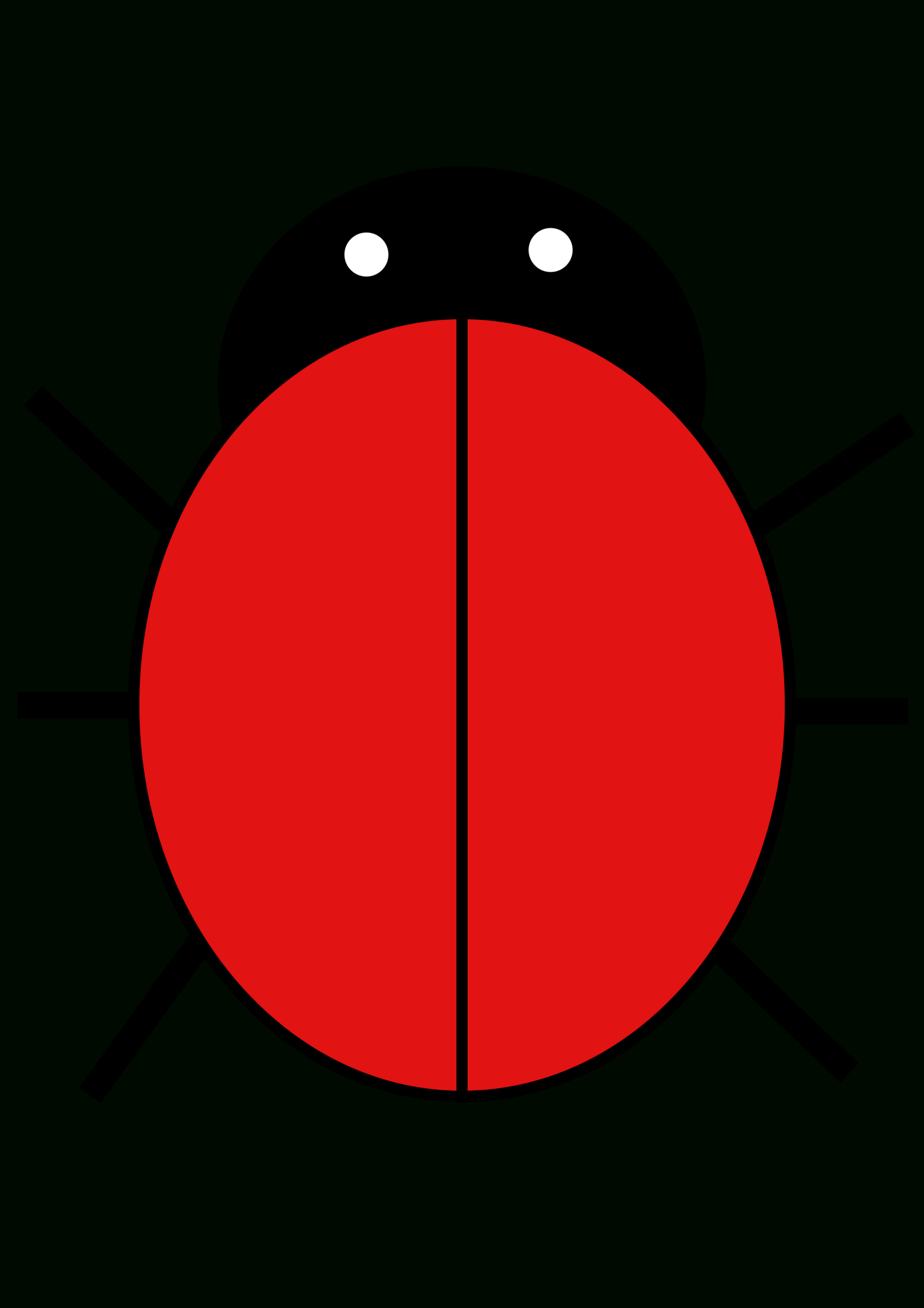Blank Ladybug Template – Calep.midnightpig.co Intended For Blank Ladybug Template