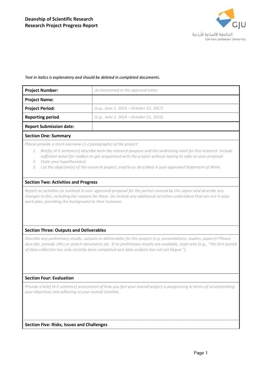 Construction Reports Template – Refat Within Site Progress Report Template