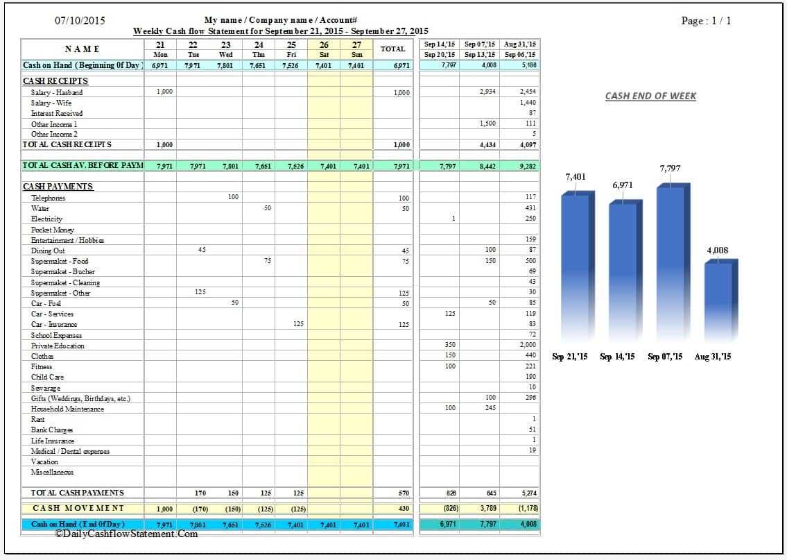 Daily Cash Flow Statement |Expense Manager | Control Money Flow Throughout Cash Position Report Template