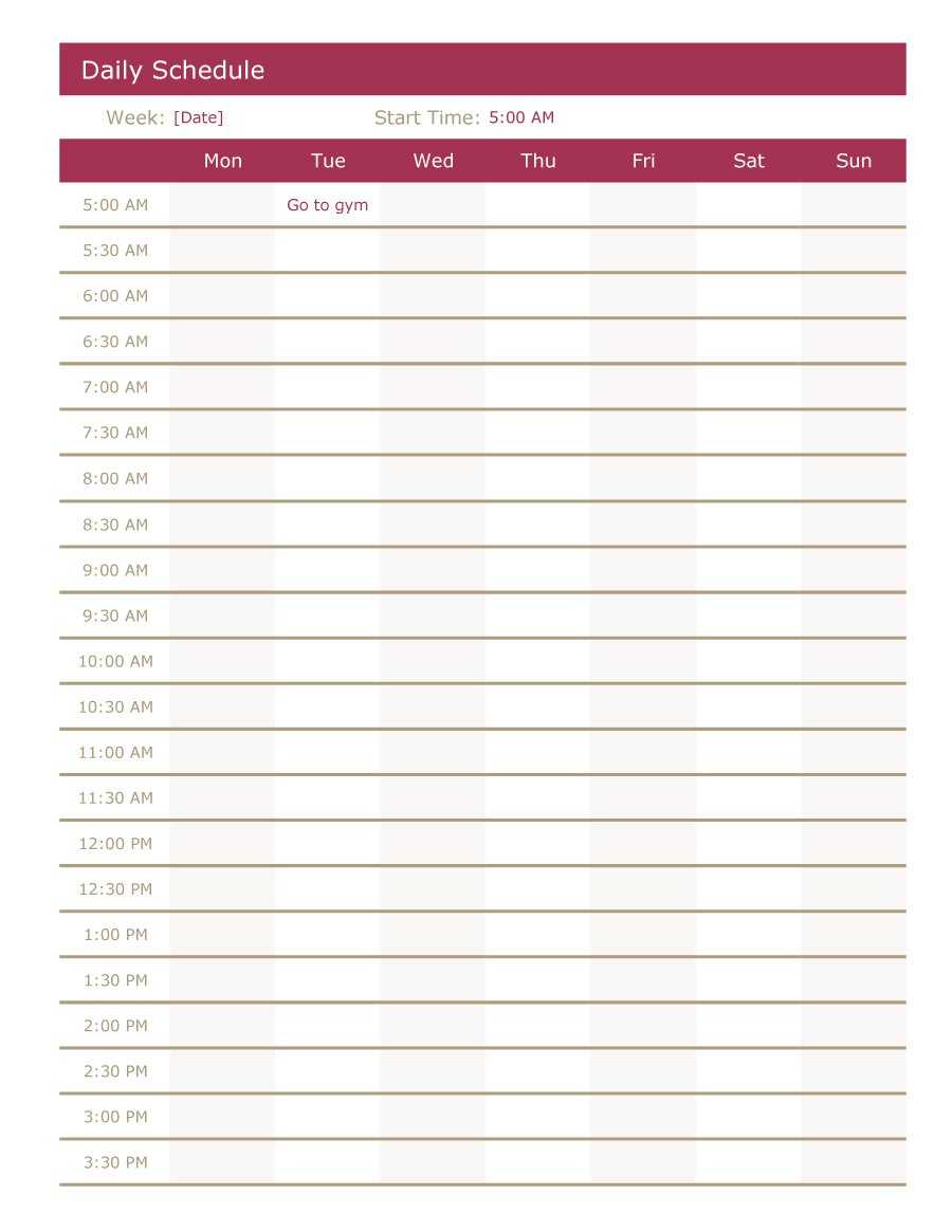 Daily Schedule Printable – Calep.midnightpig.co With Regard To Printable Blank Daily Schedule Template