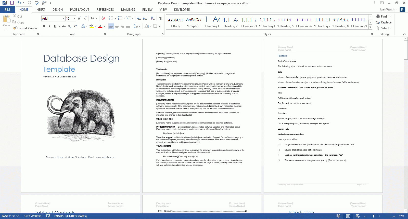 Database Design Document (Ms Word Template + Ms Excel Data Inside Business Rules Template Word