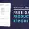 Download Free Daily Production Report Template For Production Status Report Template