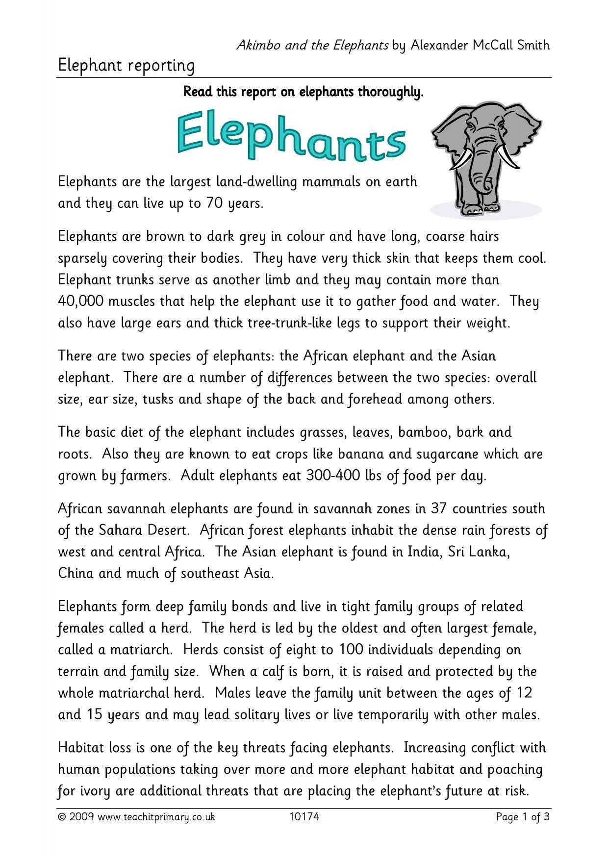Elephant Report Writing Intended For Report Writing Template Ks1