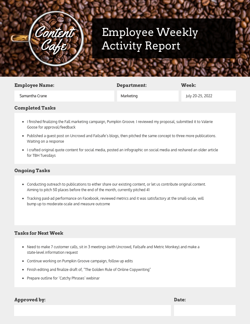 Employee Weekly Status Report For Weekly Activity Report Template