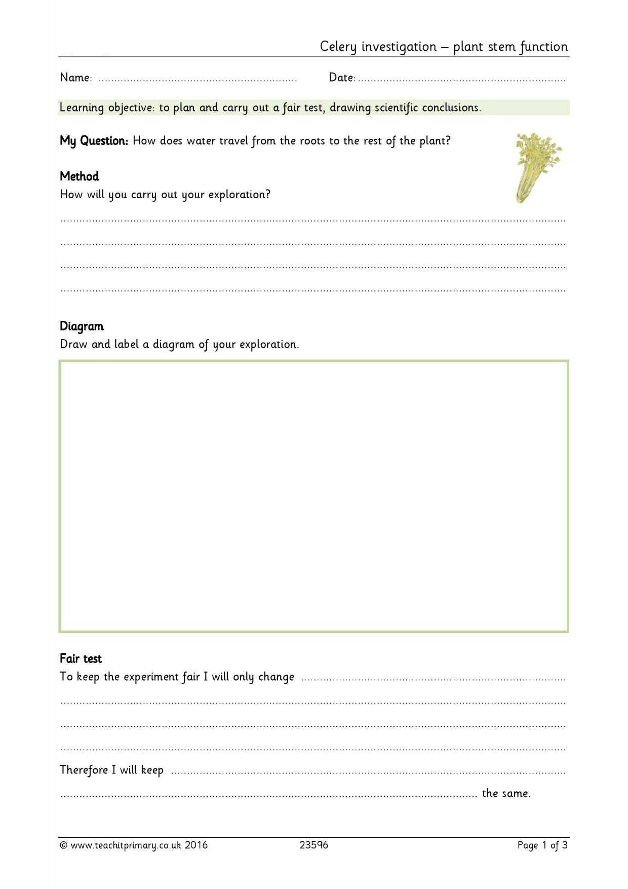 Eyfs | Ks1 | Ks2 | Investigations | Teachit Primary Regarding Science Report Template Ks2