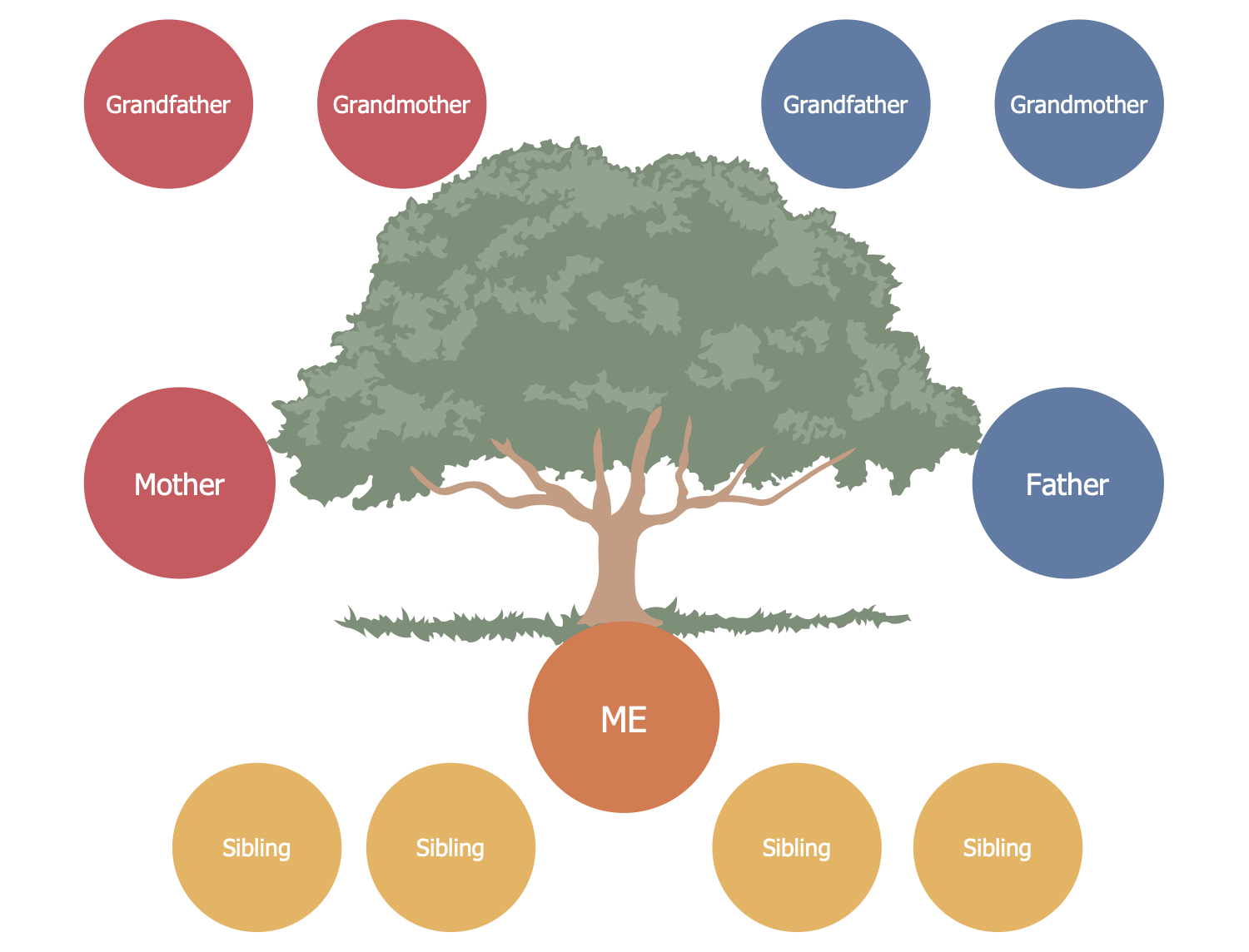Family Tree Solution | Conceptdraw Inside 3 Generation Family Tree Template Word
