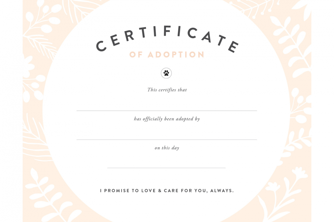 Free Printable Adoption Certificate – Calep.midnightpig.co In Blank Adoption Certificate Template