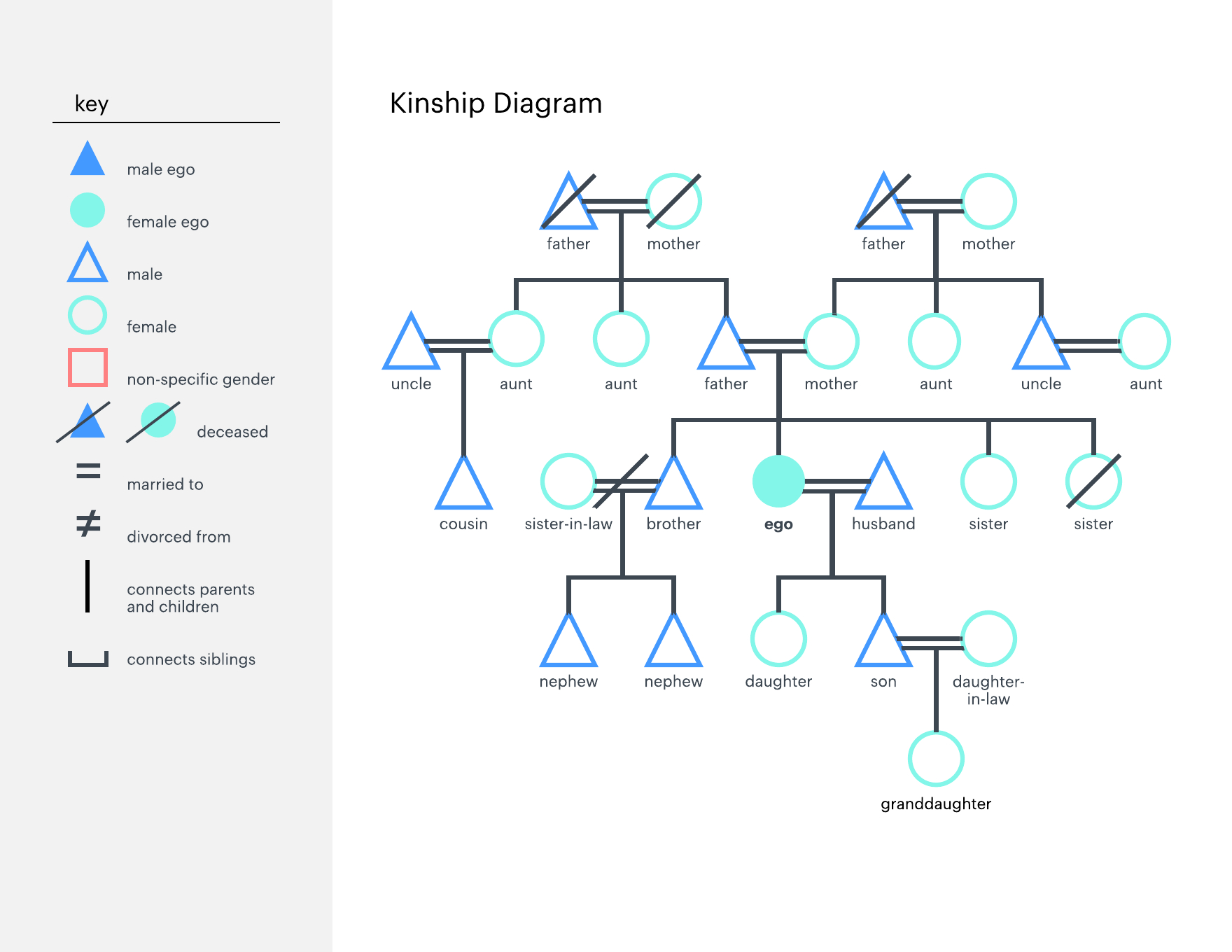 How To Make A Kinship Diagram | Lucidchart Blog Inside Blank Tree Diagram Template