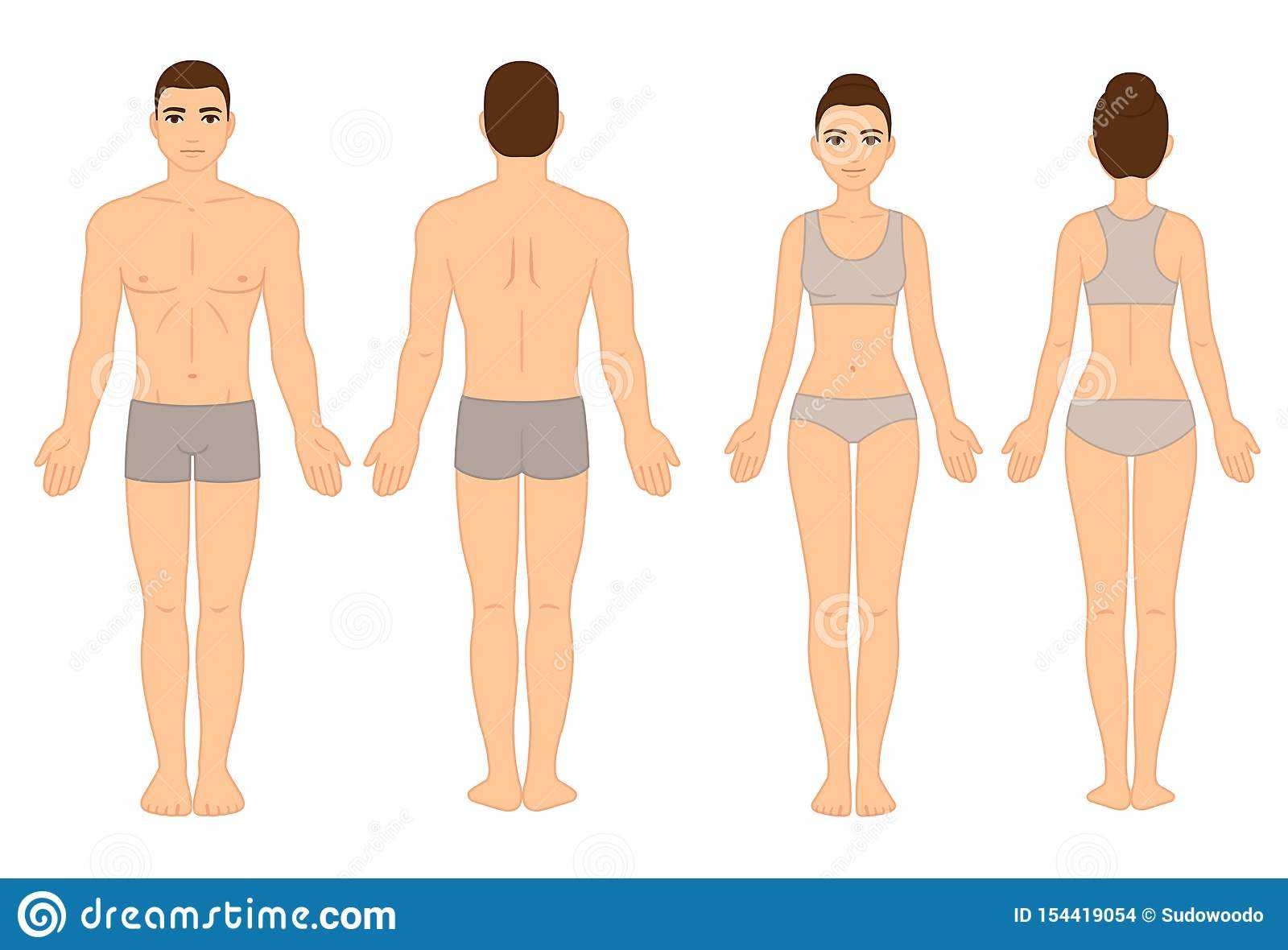 Male And Female Body Chart Stock Vector. Illustration Of For Blank Body Map Template