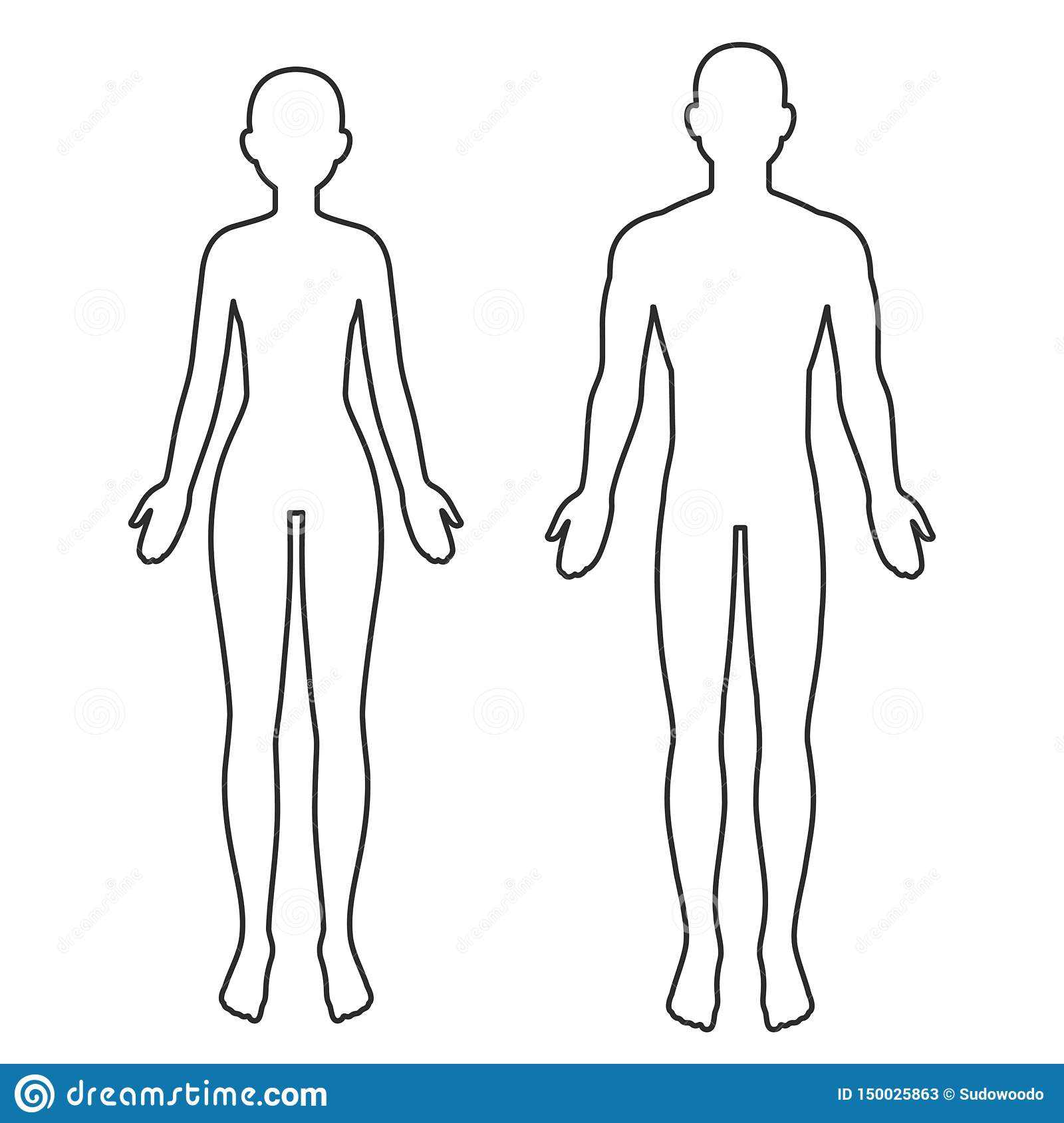 Male And Female Body Outline Stock Vector – Illustration Of Within Blank Body Map Template