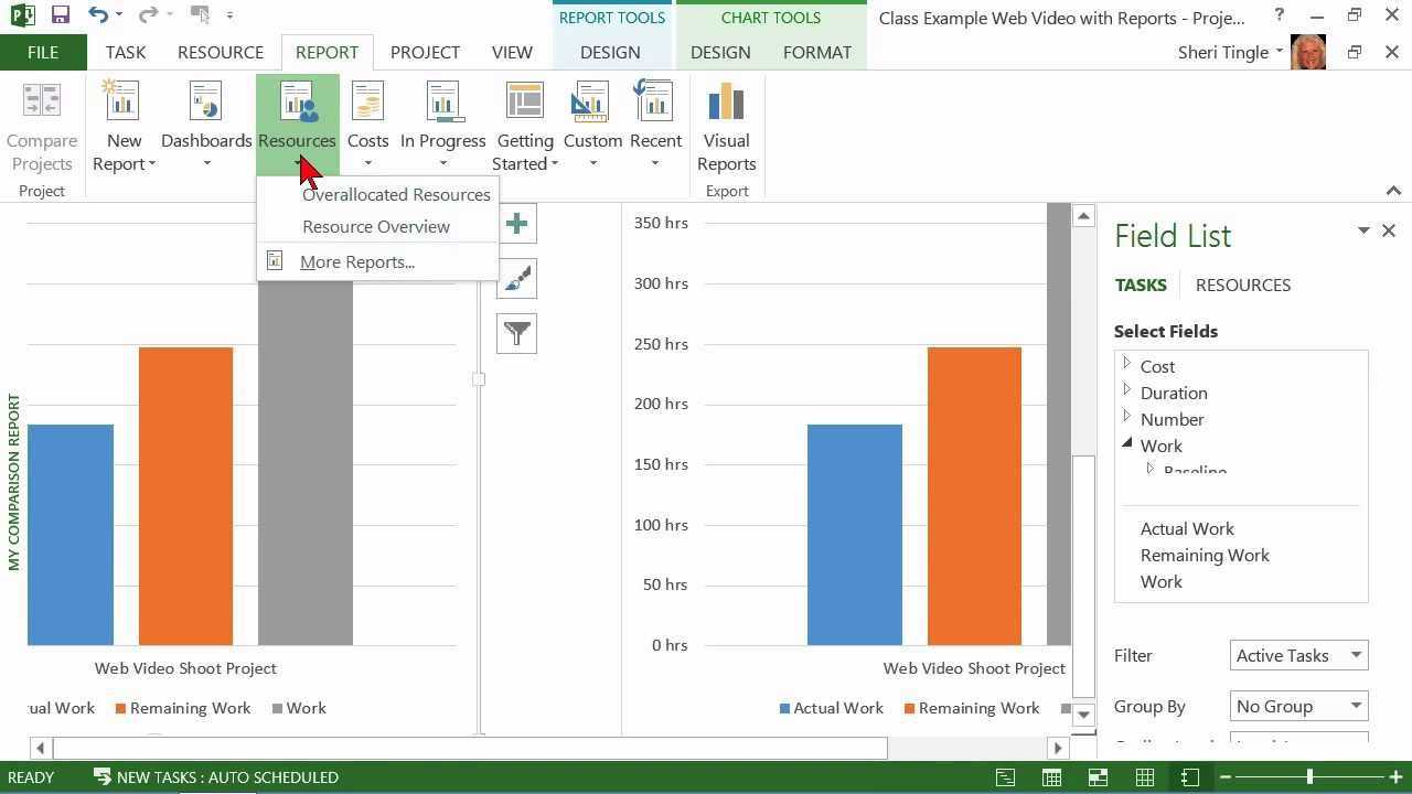 Ms Reports - Dalep.midnightpig.co With Regard To Ms Project 2013 Report Templates