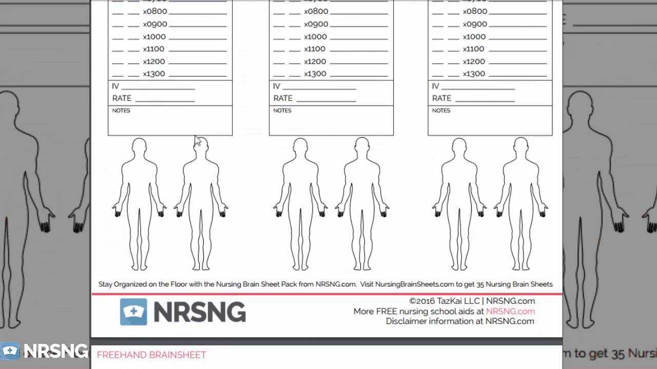 Nursing Brain Sheets Database [Free Download] (Templates Of Brainsheets An  Report Sheets For Nurses) For Nursing Report Sheet Templates