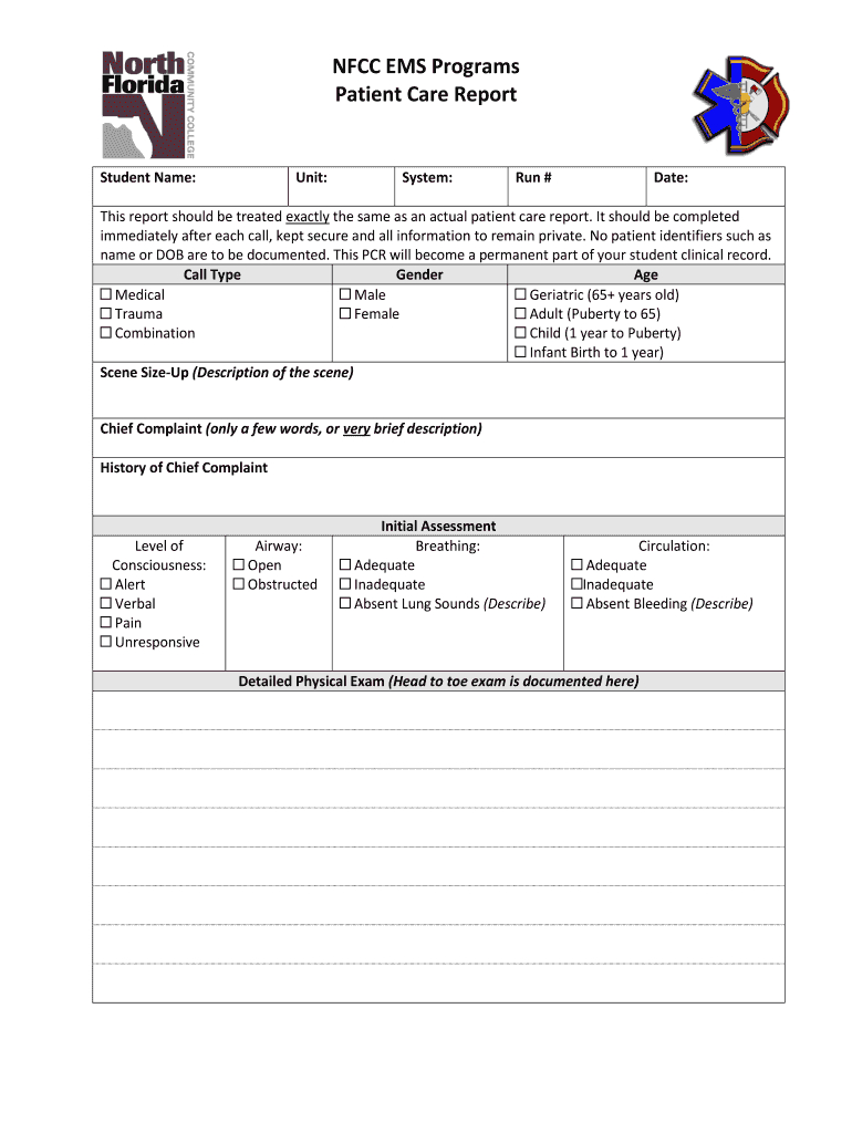 Patient Report Template – Calep.midnightpig.co Intended For Patient Care Report Template