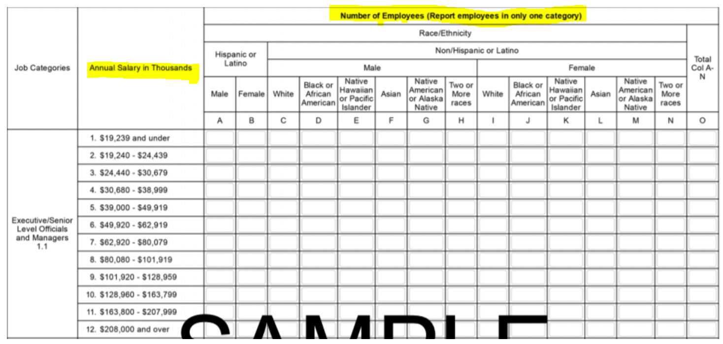 Prepare Now For Next Eeo 1 Component Within Eeo 1 Report Template