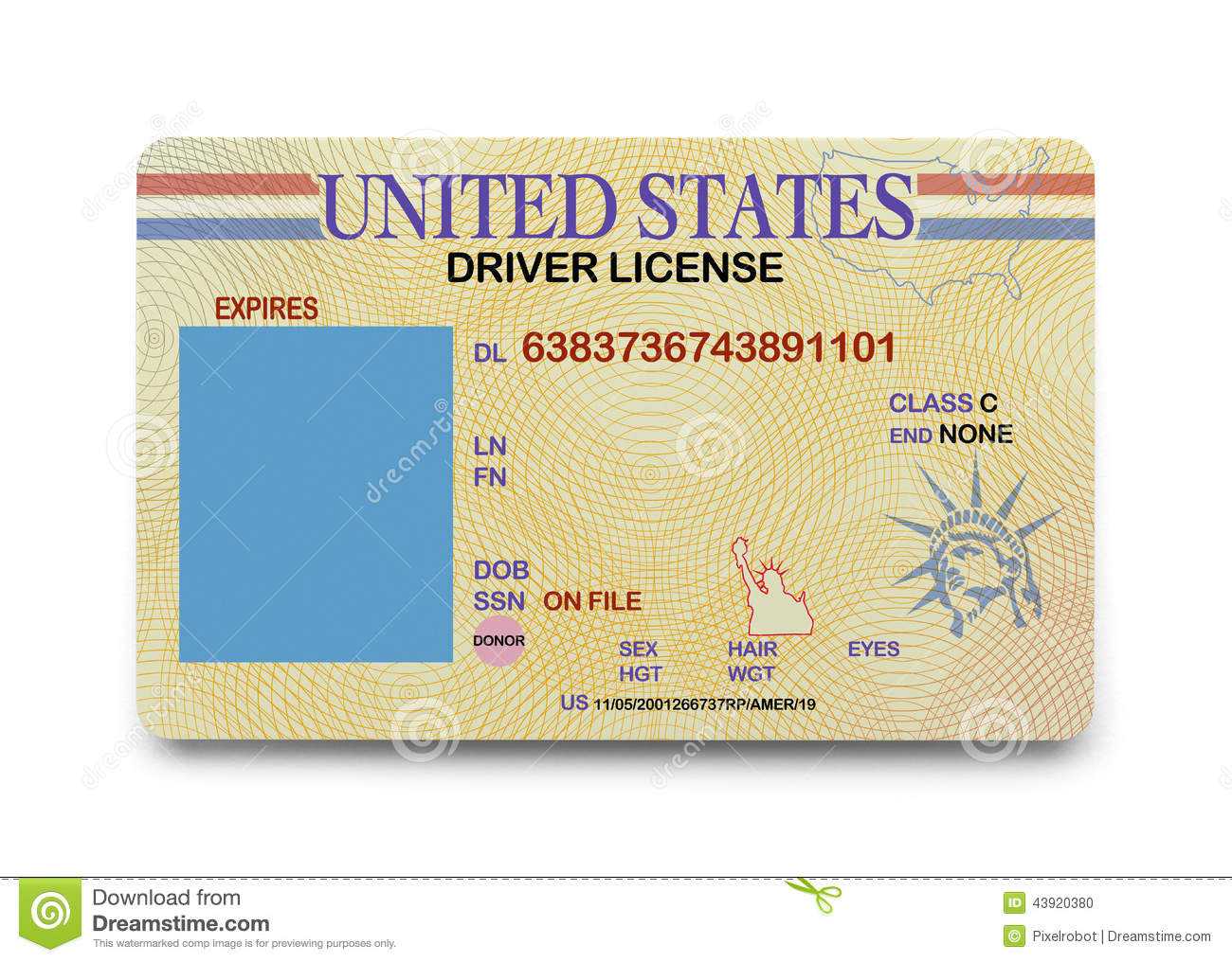 Printable Fake Id – Calep.midnightpig.co Inside Blank Drivers License Template