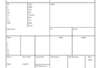 Report Sheet Template - Calep.midnightpig.co for Charge Nurse Report Sheet Template