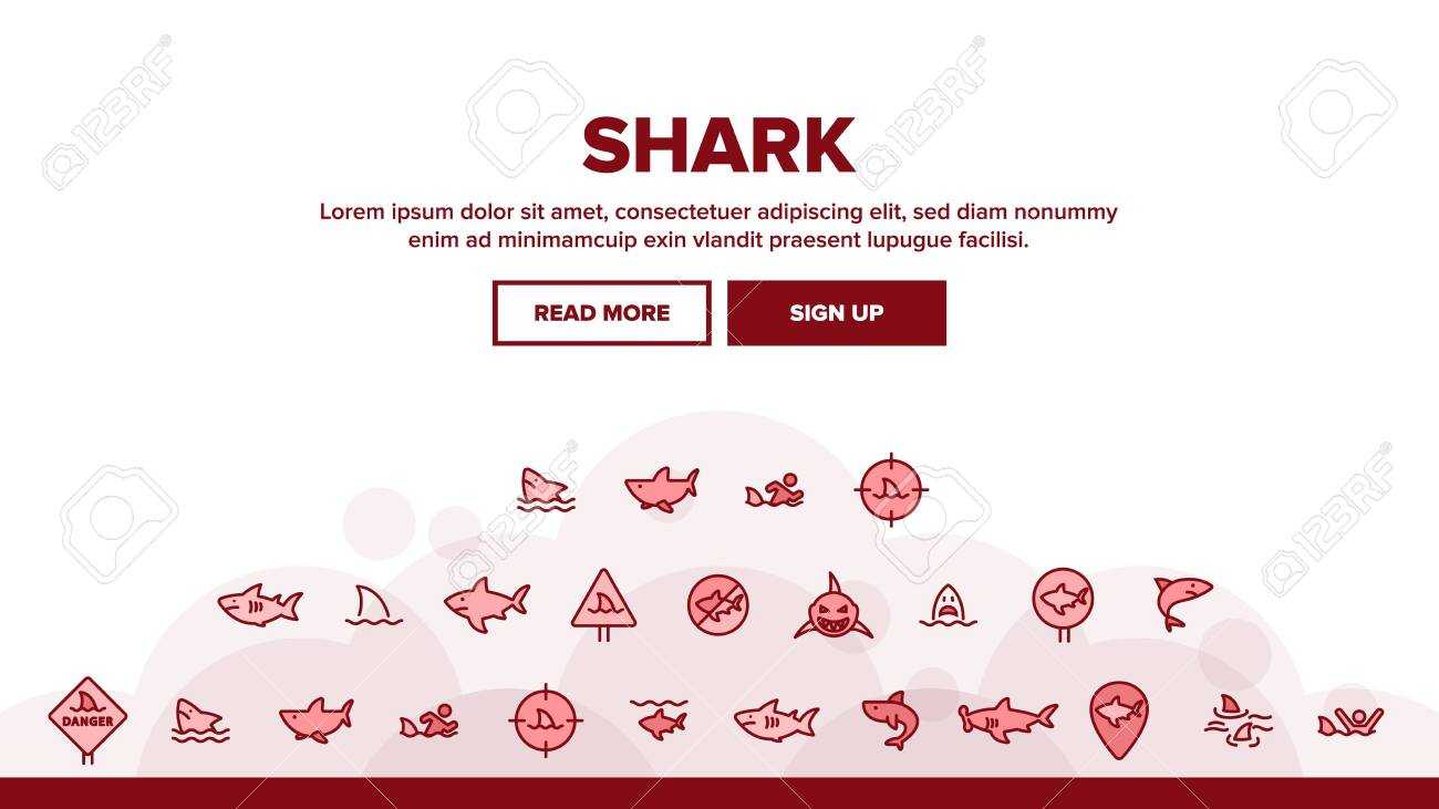 Shark Fish Landing Web Page Header Banner Template Vector. Dangerous.. In Sharkfin Banner Template