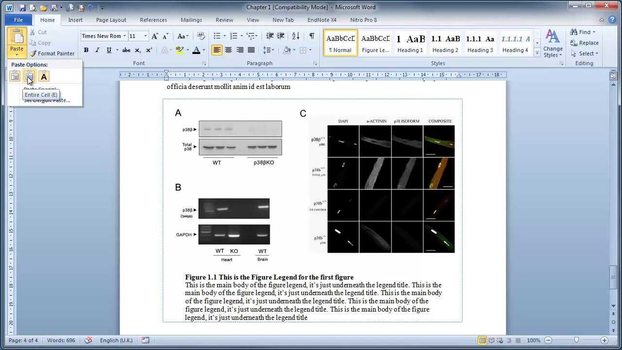 Thesis Writing In Microsoft Word : Inserting Figures And Legends Within Ms Word Thesis Template