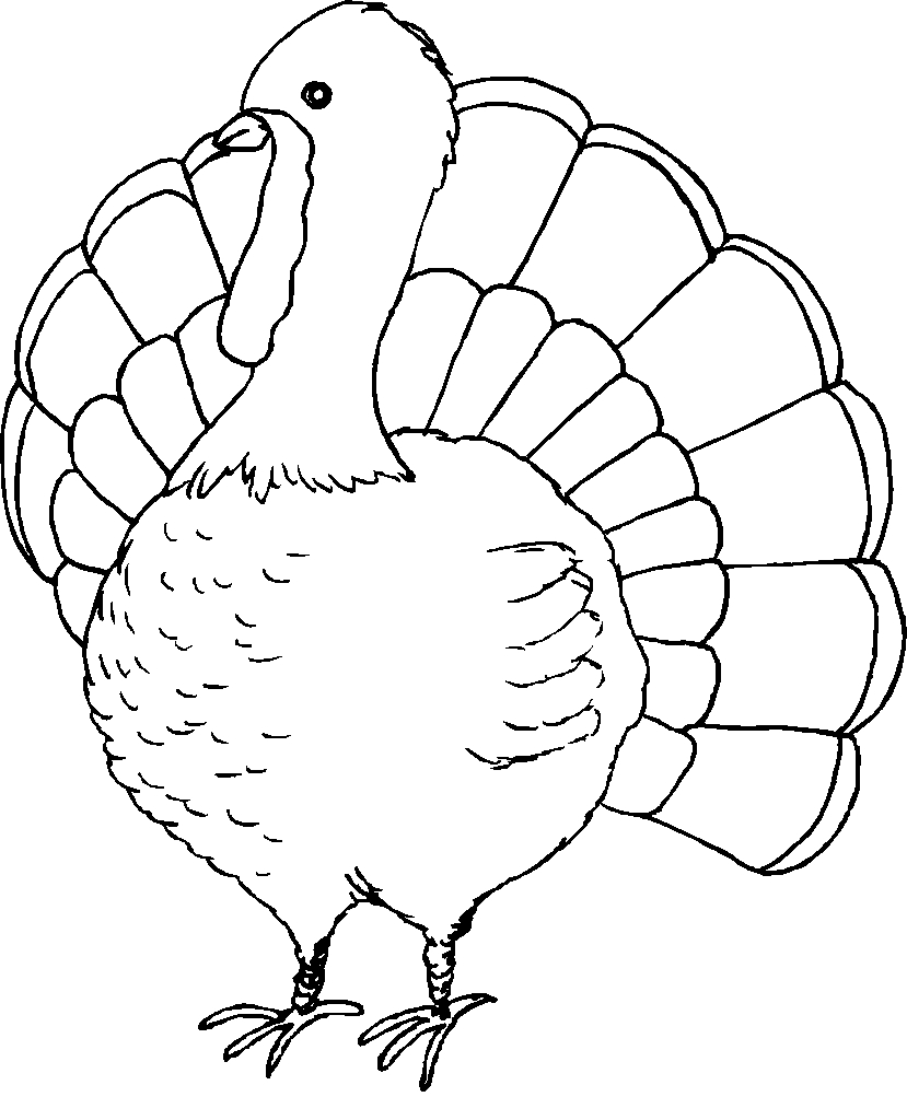 Turkey Drawing Outline At Paintingvalley | Explore Intended For Blank Turkey Template