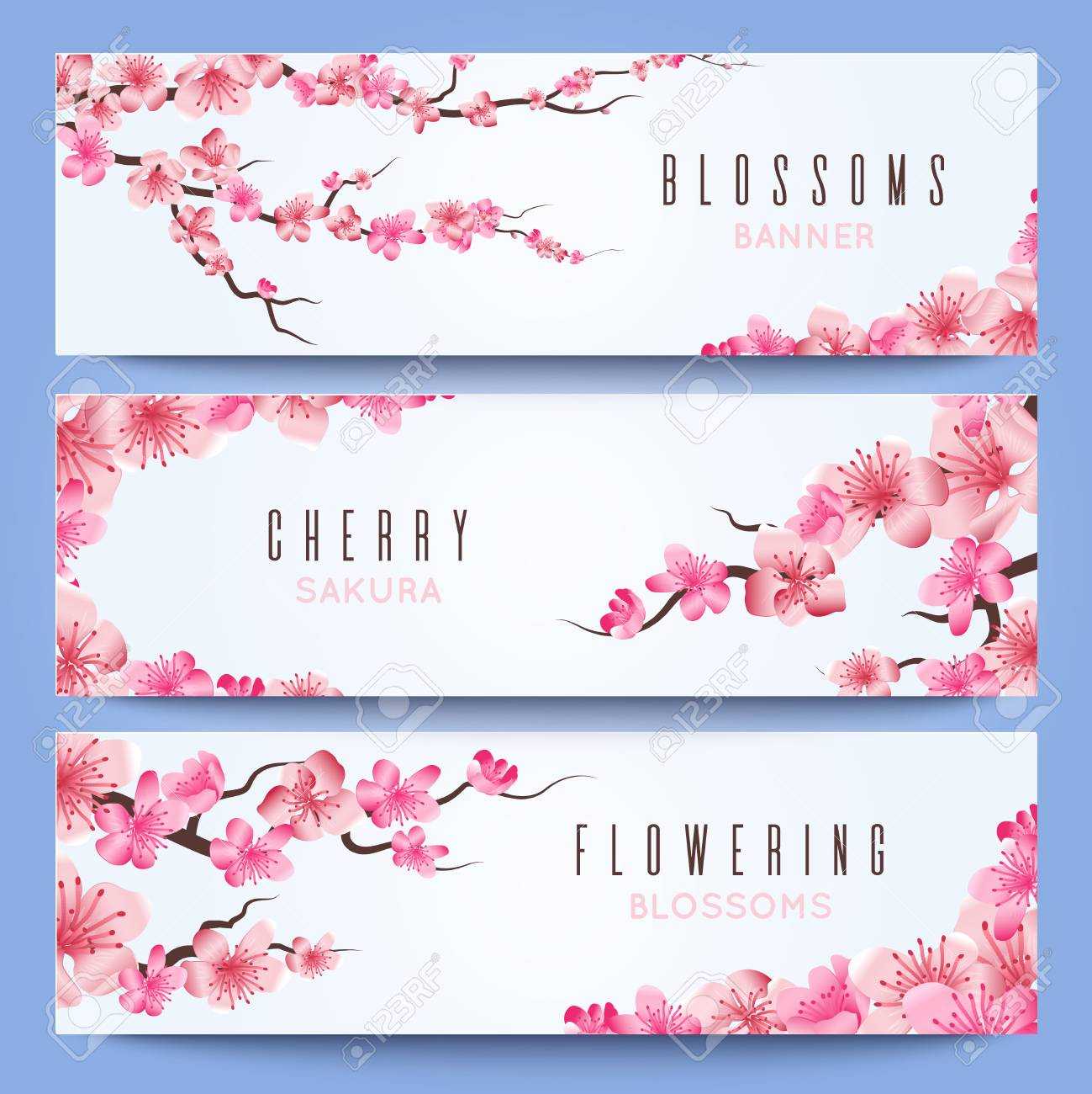 Wedding Banners Template With Spring Japan Sakura, Cherry Blossom Regarding Wedding Banner Design Templates